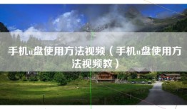 手机u盘使用方法视频（手机u盘使用方法视频教）