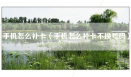 手机怎么补卡（手机怎么补卡不换号码）
