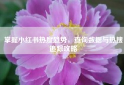 掌握小红书热度趋势，查询数据与热搜追踪攻略
