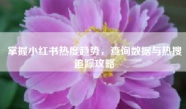 掌握小红书热度趋势，查询数据与热搜追踪攻略