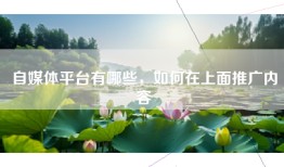 自媒体平台有哪些，如何在上面推广内容