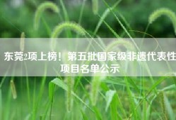 东莞2项上榜！第五批国家级非遗代表性项目名单公示