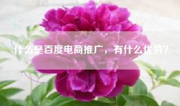 什么是百度电商推广，有什么优势？