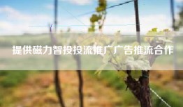 提供磁力智投投流推广广告推流合作