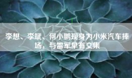 李想、李斌、何小鹏现身为小米汽车捧场，与雷军早有交集
