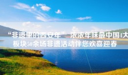 “非遗里的西安年” 浓浓年味最中国4大板块50余场非遗活动伴您欢喜迎春