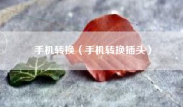 手机转换（手机转换插头）