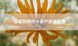 谷歌如何找小客户资源管理