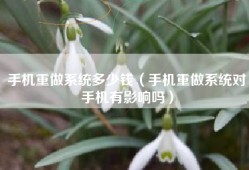 手机重做系统多少钱（手机重做系统对手机有影响吗）