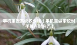 手机重做系统多少钱（手机重做系统对手机有影响吗）