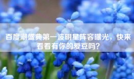 百度潮盛典第一波明星阵容曝光，快来看看有你的爱豆吗？