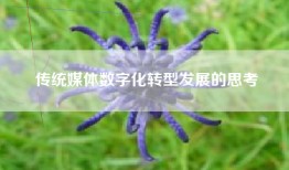 传统媒体数字化转型发展的思考