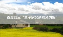 百度回应“章子欣父亲发文为假”