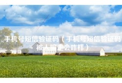 手机号短信验证码（手机号短信验证码被人骗走会咋样）