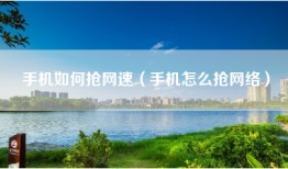 手机如何抢网速（手机怎么抢网络）