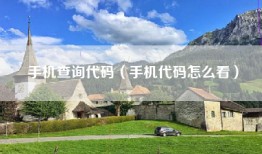 手机查询代码（手机代码怎么看）