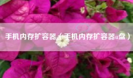 手机内存扩容器（手机内存扩容器u盘）