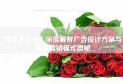 探秘小红书，深度解析广告设计方案与高效营销模式奥秘