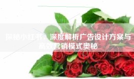 探秘小红书，深度解析广告设计方案与高效营销模式奥秘