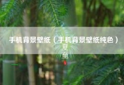 手机背景壁纸（手机背景壁纸纯色）