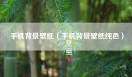 手机背景壁纸（手机背景壁纸纯色）