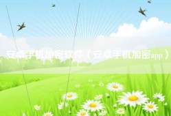 安卓手机加密软件（安卓手机加密app）