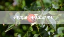 手机鉴宝（手机鉴宝APP）