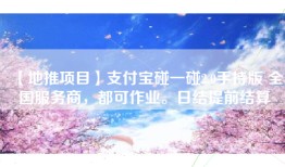 【地推项目】支付宝碰一碰2.0手持版 全国服务商，都可作业。日结提前结算