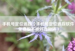 手机号定位追踪（手机号定位追踪软件免费版不被对方知道）