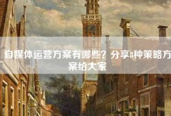 自媒体运营方案有哪些？分享8种策略方案给大家