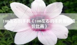 1400左右的手机（1400左右的手机哪款性价比高）