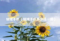 领域手机（领域手机多少钱一部）
