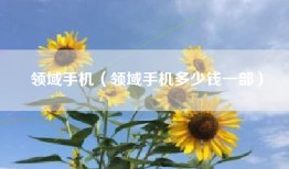 领域手机（领域手机多少钱一部）