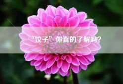 “饺子”你真的了解吗？