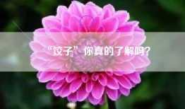 “饺子”你真的了解吗？