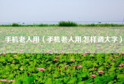 手机老人用（手机老人用,怎样调大字）