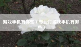 游戏手机有哪些（专业打游戏手机有哪些）