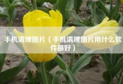 手机清理图片（手机清理图片用什么软件最好）