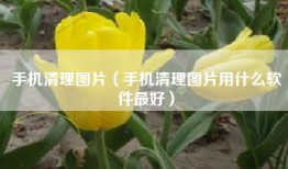 手机清理图片（手机清理图片用什么软件最好）