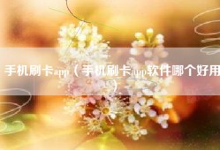 手机刷卡app（手机刷卡app软件哪个好用）