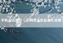 手机无法定位（手机无法定位怎么设置）