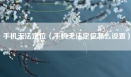 手机无法定位（手机无法定位怎么设置）