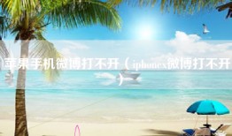 苹果手机微博打不开（iphonex微博打不开）