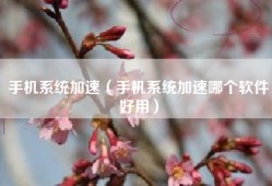 手机系统加速（手机系统加速哪个软件好用）
