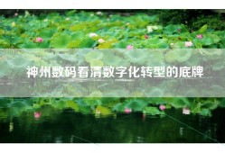 神州数码看清数字化转型的底牌