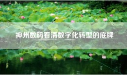 神州数码看清数字化转型的底牌