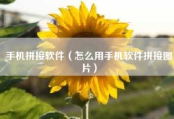 手机拼接软件（怎么用手机软件拼接图片）