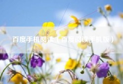 百度手机阅读（百度阅读手机版）