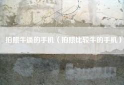 拍照牛逼的手机（拍照比较牛的手机）