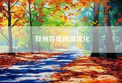 郑州百度网盘优化